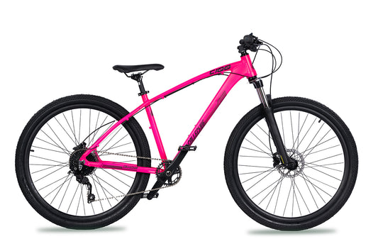 C100 V3 MTB - Rhodonite