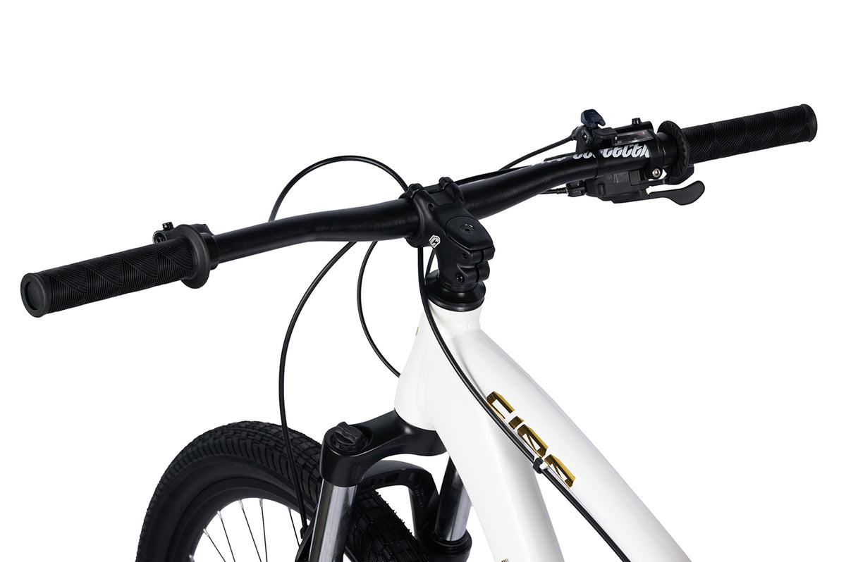 Collective Bikes C100 V3 MTB - 24K White Gold