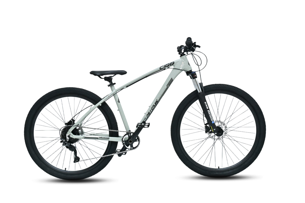 Collective C100 V3 29-inch wheelie mountain bike in Concrete Grey, side profile