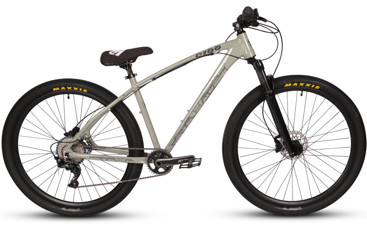 Collective Bikes C100 Pro MTB - Concrete Grey